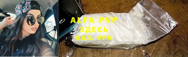 стаф Володарск