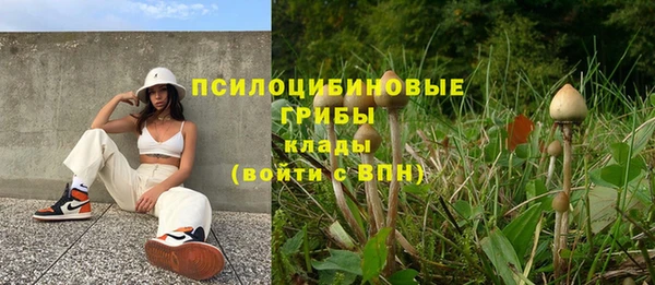 экстази Покачи