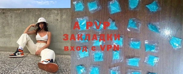 стаф Володарск
