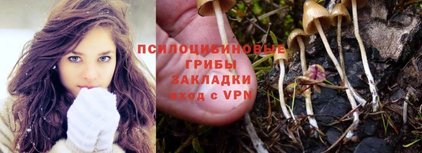 бошки Волоколамск