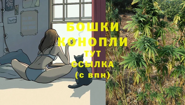 бошки Волоколамск